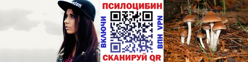 Галлюциногенные грибы Psilocybe  Апшеронск 